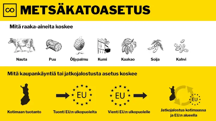 Metsäkatoasetus, jossa selitetään raaka.-aineista ja miten se koskee kaupankäynnissä. 