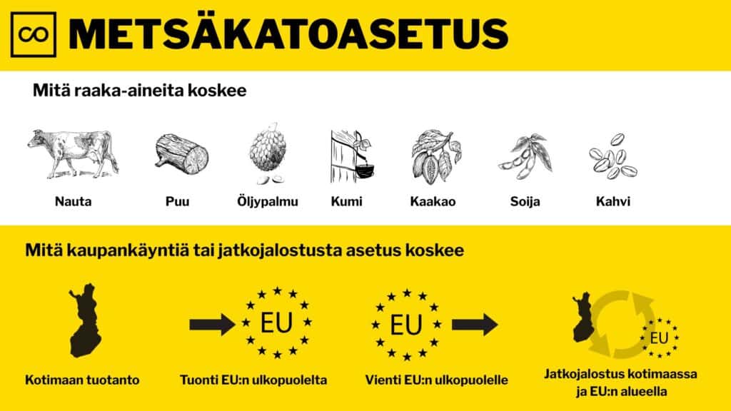 Metsäkatoasetus käytännössä – Mitä se tarkoittaa yrityksille ja Collapick Odoo ERP:lle?